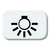 Busch-Jaeger Symbole de bouton-poussoir aws Licht 2525 LI-214-1