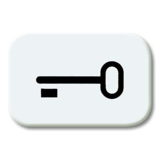 Busch-Jaeger Symbole de bouton-poussoir aws Schlüssel 2525 TR-214
