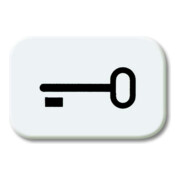 Busch-Jaeger Symbole de bouton-poussoir aws Schlüssel 2525 TR-214-1