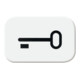 Busch-Jaeger Symbole de bouton-poussoir aws Schlüssel 2525 TR-214
