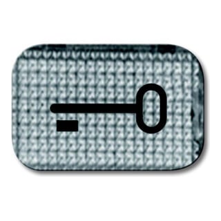 Busch-Jaeger Symbole de bouton-poussoir clé 2145 TR