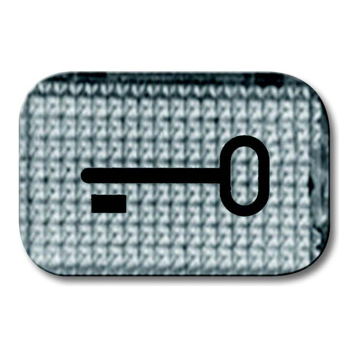 Busch-Jaeger Symbole de bouton-poussoir clé 2145 TR