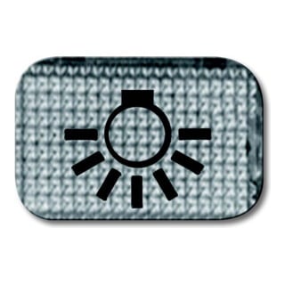 Busch-Jaeger Symbole de bouton-poussoir lumière 2145 LI