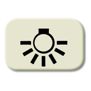 Busch-Jaeger Symbole de bouton-poussoir lumière 2525 LI