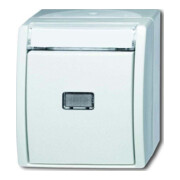 Busch-Jaeger Taster Schliesser 1-pol. 2621 WN-54-201-2
