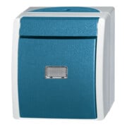 Busch-Jaeger Taster Schliesser gem.ASV 2621 WGL-53-2