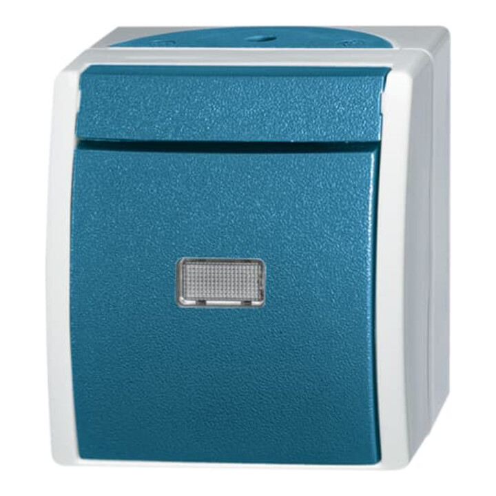 Busch-Jaeger Taster Schliesser gem.ASV 2621 WGL-53