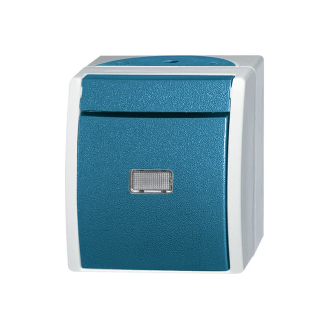 Busch-Jaeger Taster Schliesser gem.ASV 2621 WGL-53