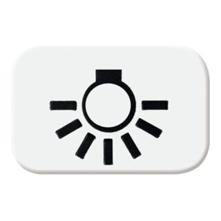 Busch-Jaeger Tastersymbol aws Licht 2525 LI-214