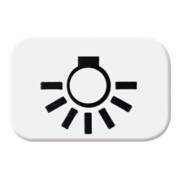 Busch-Jaeger Tastersymbol aws Licht 2525 LI-214-3