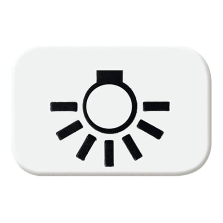 Busch-Jaeger Tastersymbol aws Licht 2525 LI-214