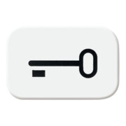 Busch-Jaeger Tastersymbol aws Schlüssel 2525 TR-214-3