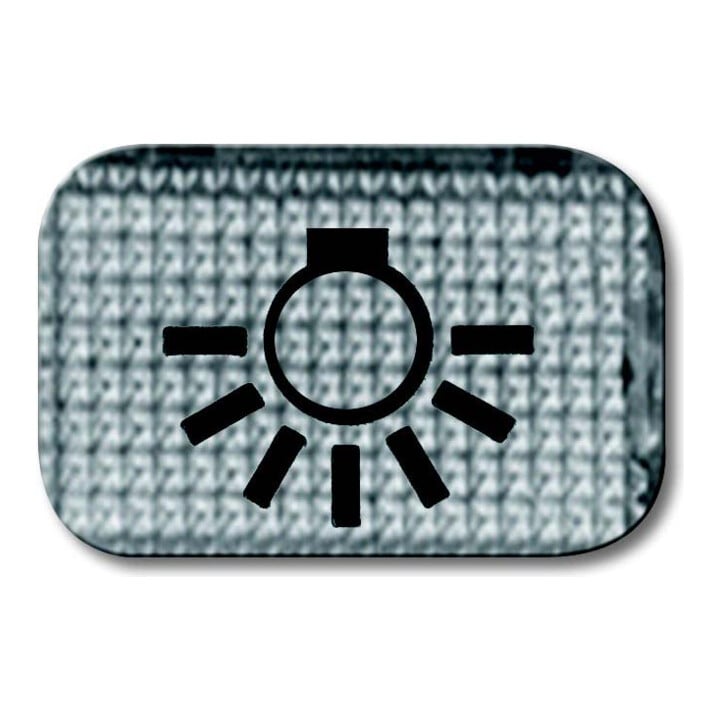 Busch-Jaeger Tastersymbol Licht 2145 LI