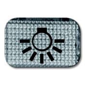 Busch-Jaeger Tastersymbol Licht 2145 LI-3