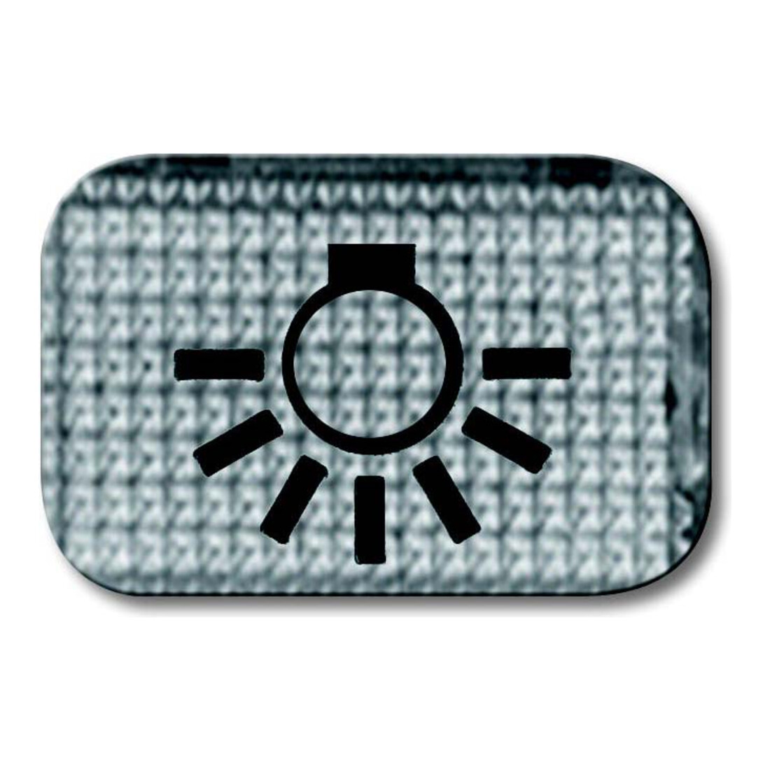 Busch-Jaeger Tastersymbol Licht 2145 LI