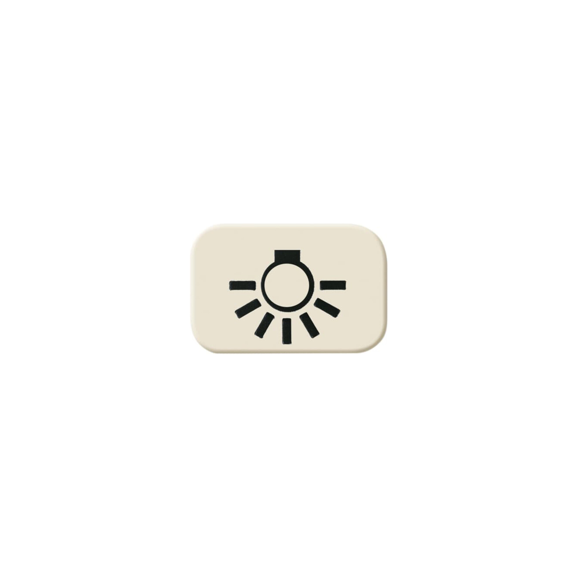 Busch-Jaeger Tastersymbol Licht 2525 LI