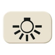 Busch-Jaeger Tastersymbol Licht 2525 LI-3