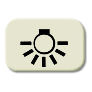 Busch-Jaeger Tastersymbol Licht 2525 LI-3