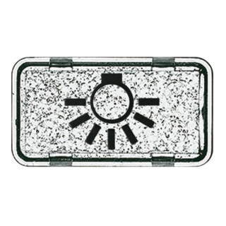 Busch-Jaeger Tastersymbol Licht 2622 LI-101