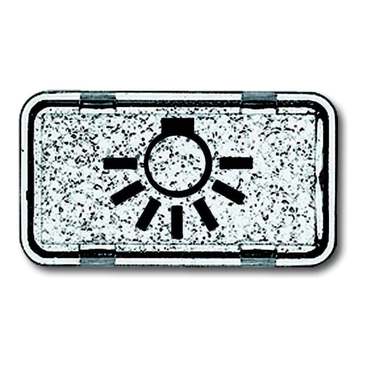 Busch-Jaeger Tastersymbol Licht 2622 LI-101
