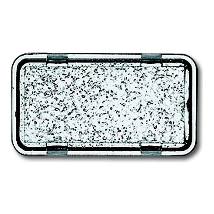 Busch-Jaeger Tastersymbol neutral 2622 N-101