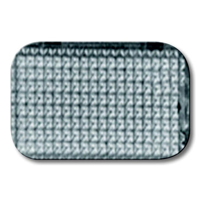 Busch-Jaeger Tastersymbol neutral/transparent 2145 N