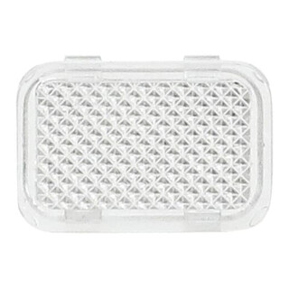 Busch-Jaeger Tastersymbol neutral/transparent 2145 N