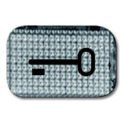 Busch-Jaeger Tastersymbol Schlüssel 2145 TR-3