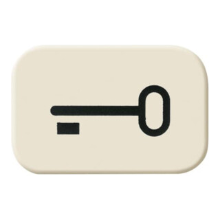 Busch-Jaeger Tastersymbol Schlüssel 2525 TR