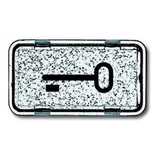 Busch-Jaeger Tastersymbol Schlüssel 2622 TR-101