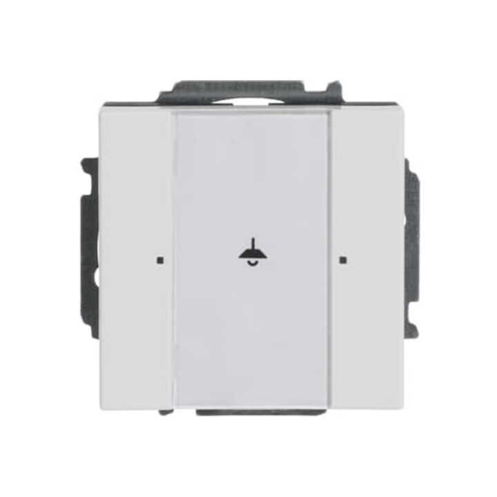 Busch-Jaeger Tastsensor, 1fach 6125/01-84