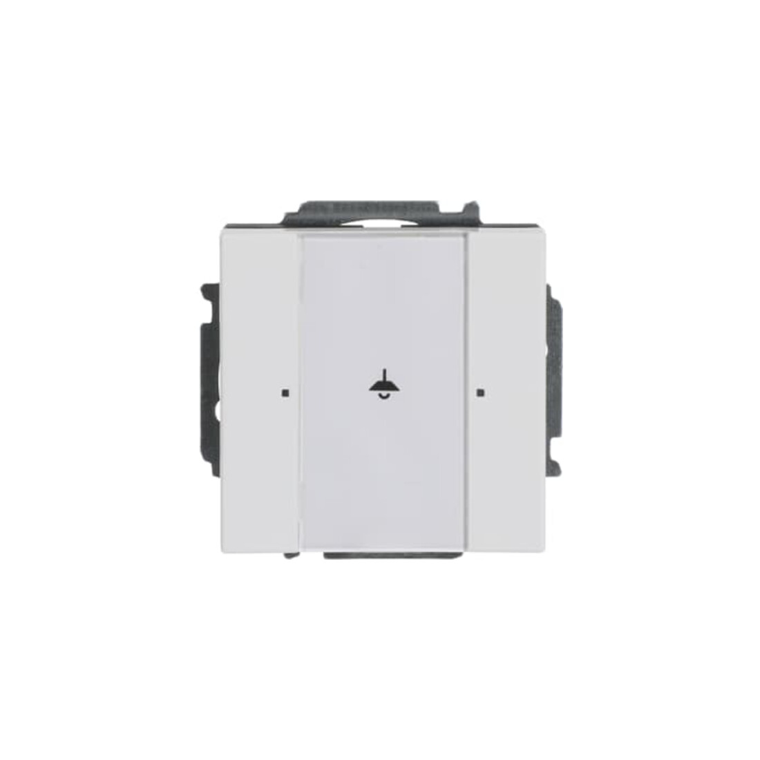 Busch-Jaeger Tastsensor, 1fach 6125/01-84