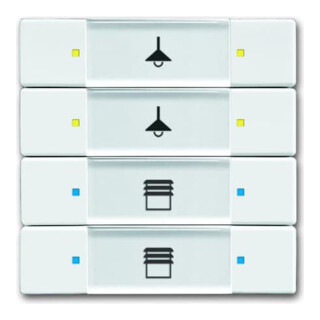 Busch-Jaeger Tastsensor 4/8fach Multifunktion 6127/02-84