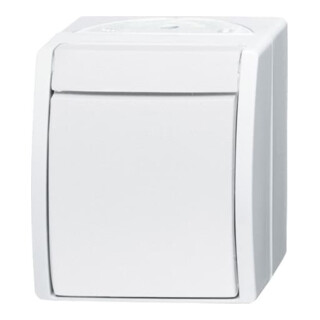 Busch-Jaeger Wechselschalter 2601/6 W-54