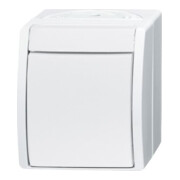 Busch-Jaeger Wechselschalter 2601/6 W-54-2
