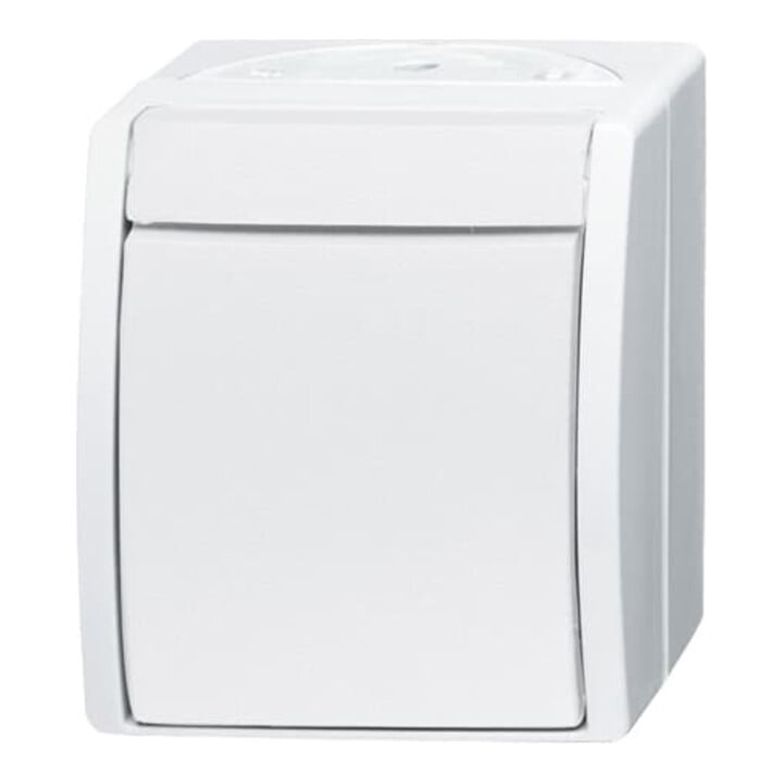 Busch-Jaeger Wechselschalter 2601/6 W-54