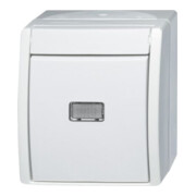 Busch-Jaeger Wechselschalter 2601/6 WGL-54-2
