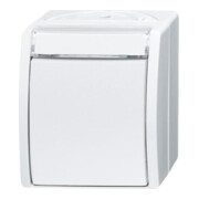 Busch-Jaeger Wechselschalter 2601/6 WN-54-2