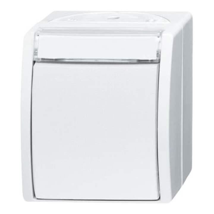 Busch-Jaeger Wechselschalter 2601/6 WN-54