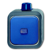 Busch-Jaeger Wechselschalter AP 2601/6 WDI-2