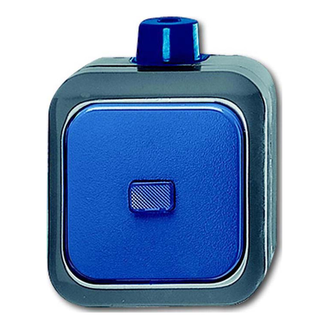 Busch-Jaeger Wechselschalter AP 2601/6 WDI