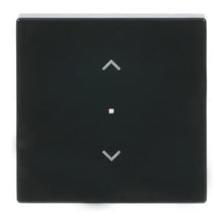 Busch-Jaeger Wippe 1-f Symbol Jalousie anthrazit 6232-10-81