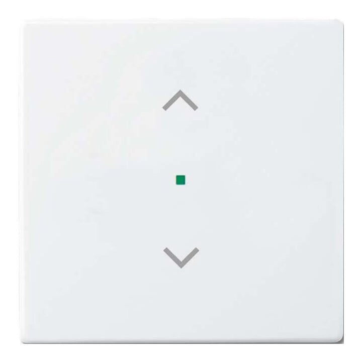 Busch-Jaeger Wippe 1-f Symbol Jalousie studioweiß 6232-10-84