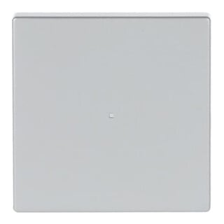 Busch-Jaeger Wippe 1-fach alusilber 6230-10-83