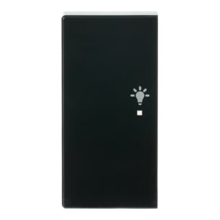 Busch-Jaeger Wippe 2-f li, Symbol Licht anthrazit 6231-21-81