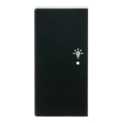 Busch-Jaeger Wippe 2-f li, Symbol Licht anthrazit 6231-21-81-1