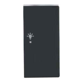 Busch-Jaeger Wippe 2-f re, Symbol Licht anthrazit 6231-22-81