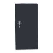 Busch-Jaeger Wippe 2-f re, Symbol Licht anthrazit 6231-22-81-1