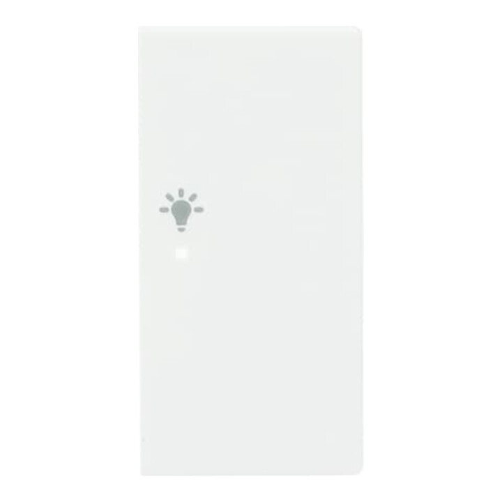 Busch-Jaeger Wippe 2-f re, Symbol Licht studioweiß 6231-22-84