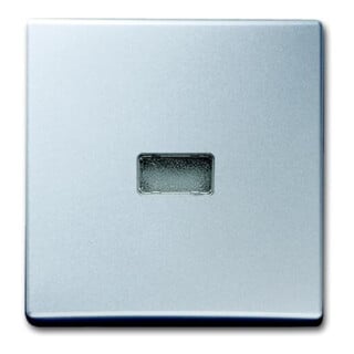 Busch-Jaeger Wippe alusilber Kontroll-Wechsel 2107-33